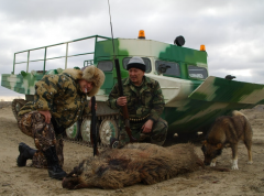 Охота на кабан.Казахстан