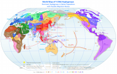 World-Map-of-Y-DNA-Haplogroups.png